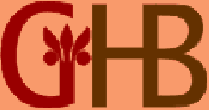 logo_ghb.gif